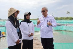 Kemnaker: Magang Nasional Buka Jalan Lulusan Baru Masuk Dunia Kerja