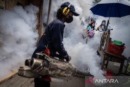 Kasus DBD di Jakarta Barat Turun Dalam Tiga Bulan Terakhir