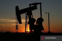 Venezuela Siap Bangun Hubungan Diplomatik Lagi dengan AS