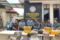 Balai Karantina Lampung Gagalkan Penyelundupan Satwa Ilegal 
