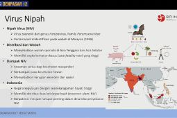 DPR Nilai Pemerintah Perlu Perkuat Edukasi Publik untuk Cegah Virus Nipah