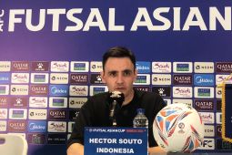 Hector Souto Menilai Tekanan Justru Ada di Pihak Iran, Bukan Indonesia