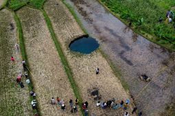 Badan Geologi Tawarkan Dua Opsi Penanganan Sinkhole di Limapuluh Kota