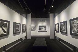 Karya Fotografer Indonesia Dipamerin di Uni Emirat Arab