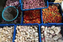 PIHPS: Harga Bawang Merah Rp43.800/kg dan Cabai Rawit Rp75.300/kg