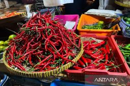 PIHPS: Harga Bawang Merah Rp44.000 dan Cabai Rawit Merah Rp76.550 per Kg