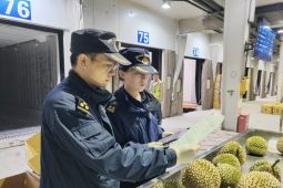 Durian & Buah ASEAN Banjiri China Jelang Imlek