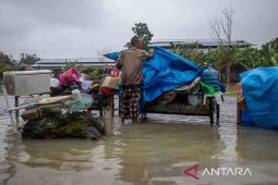 Update Banjir Grobogan: 45 Desa Tergenang, Air Capai 1 Meter