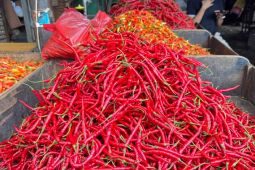 PIHPS: Harga Pangan Hari Ini Cabai Rawit Merah Rp88.600/kg dan Telur Ayam Rp32.200/