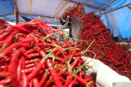 Harga Pangan Hari Ini: Cabe Rawit Rp82.950/Kg, Telur Ayam Rp32.300/Kg