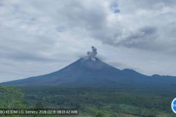 Gunung Semeru Erupsi Lagi, Kali Ini Tinggi Letusan Sekitar 800 Meter