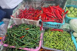 Awal Puasa Harga Cabai di Jaksel Tembus Rp130 Ribu per Kilo