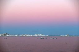 Greenland Tolak Tawaran Kapal Rumah Sakit dari Donald Trump