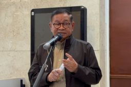 Jam Operasional Padel di Jakarta Akan Diatur Agar Tak Ganggu Masyrakat