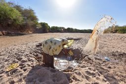 PBB Sebut Sepertiga Warga Somalia Alami Kelaparan Kritis pada Maret