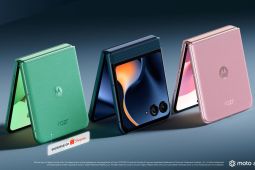 Spesifikasi Ponsel Lipat Motorola razr 60 yang Baru Rilis di Indonesia