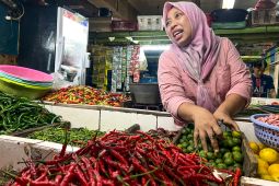 Harga Bawang Merah Rp44.750/kg dan Cabai Rawit Rp75.550/kg Jumat Pagi