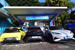 EV Dinilai Jadi Opsi Efisien untuk Kurangi Ketergantungan Minyak Bumi