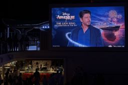 Shah Rukh Khan Terlibat di Balik Pertunjukan Kembang Api Disney Adventure