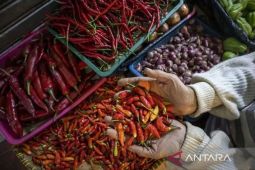 Harga Pangan Hari Ini: Cabe Rawit p92.300/Kg, Daging Ayam Rp41.500/Kg