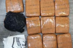 Pengedar Ganja 10 Kg Ditangkap di Grogol Jakarta Barat