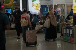 Pemudik Diminta Jaga Hidrasi dan Konsumsi Vitamin Selama Perjalanan