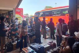 Arus Mudik di Terminal Kalideres Turun 51 Persen Tahun Ini