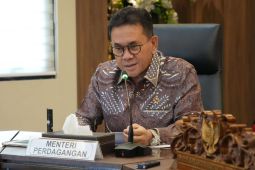 Indonesia Siap Dorong Reformasi WTO di Forum Global 2026