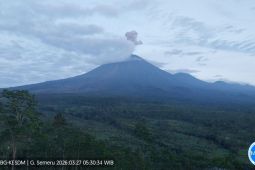 Gunung Semeru 2 Kali Erupsi pada Jumat Pagi, Tinggi Letusan Capai 1 Km