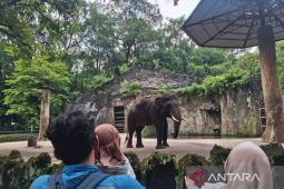 Sebanyak 421.869 Wisatawan Kunjungi Ragunan saat Libur Lebaran