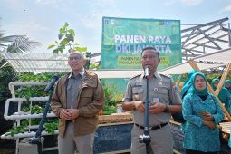 Pemprov DKI Targetkan Lima Persen Kebutuhan Pangan dari Urban Farming pada 2030