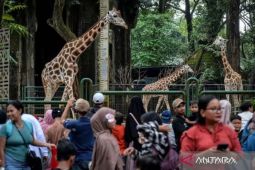 Jumlah Wisatawan Lokal ke Jakarta Turun pada April 2026