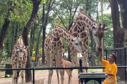 Ragunan Prediksi 30.000 Pengunjung Akan Datang saat Libur Paskah