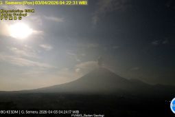 Semeru Empat Kali Erupsi pada Jumat Pagi, Tinggi Letusan hingga 1.2 KM