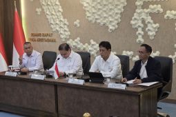 Pemerintah Tanggung PPN 11 Persen untuk Tiket Pesawat Kelas Ekonomi