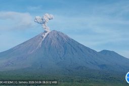 Gunung Semeru 7 Kali Erupsi Senin Pagi, Tinggi Letusan Capai 1,1 Km