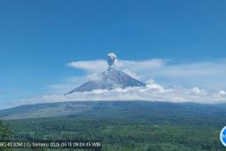 Senin Pagi Gunung Semeru Erupsi Lagi, Tinggi Letusan Sampai 1 Km
