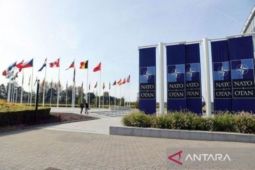 Jepang Akan Jalin Kerja Sama dengan NATO Soal Keamanan Global