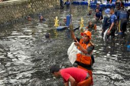 200 Kilogram Ikan Sapu-sapu Ditargetkan Ditangkap di Jakarta Utara