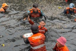 DKI Catat 6,98 Ton Ikan Sapu-Sapu Ditangkap dari Operasi di Lima Wilayah