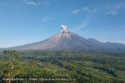 Gunung Semeru Erupsi Pagi Ini, Abu Vulkanik Mengarah ke Barat Daya