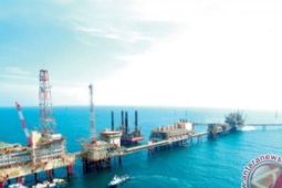 Iran Bantah Rencana Serang UEA di Tengah Insiden Drone di Teluk