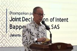 RI Berpotensi Tempati Posisi Keempat Pasar Penerbangan Dunia pada 2030