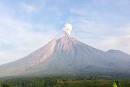 Gunung Semeru Tiga Kali Erupsi Hari Ini, Letusan Mencapai 800 Meter