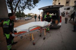 WHO Sebut Krisis Kesehatan di Palestina Jadi Tragedi Mengerikan