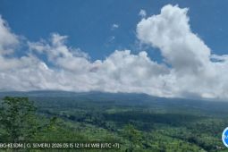 Semeru Erupsi Siang Ini, Aktivitas Warga Dibatasi