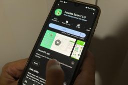Pemprov DKI Perbarui Alpukat Betawi ke Versi 2.0 dengan Fitur Baru