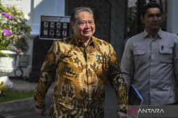 Airlangga Sebut Asosiasi Sambut Positif Pembentukan DSI
