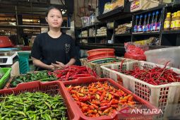 Update Harga Pangan: Cabai Rawit Rp70.450/Kg, Telur Ayam Rp28.900/Kg