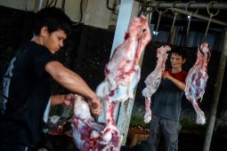 Tips Mencegah Infeksi Kulit Bagi Pemotong Hewan Kurban